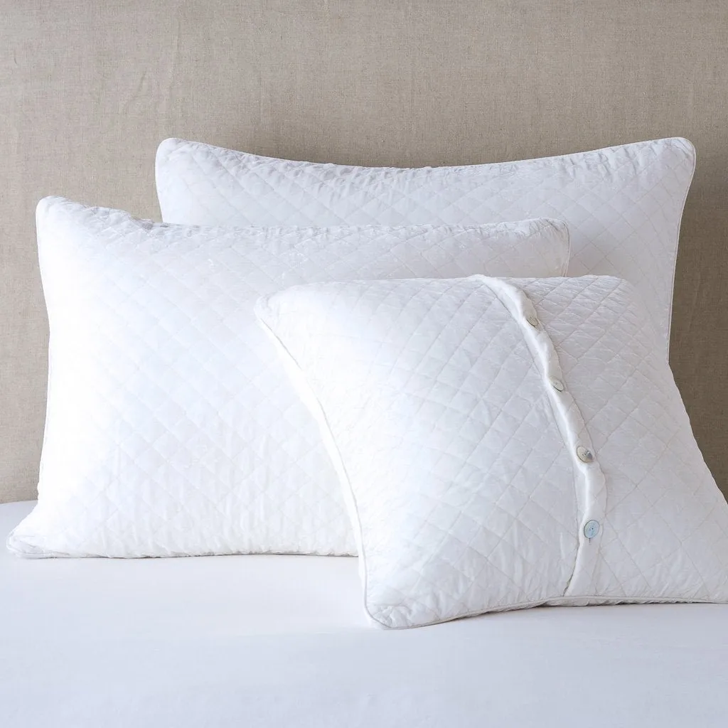 Silk Velvet Quilted Sham